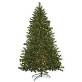 7.5 foot Noble Flat Tree: Clear Lights