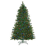 7.5 foot Noble Flat Tree: Multi-Colored LEDs