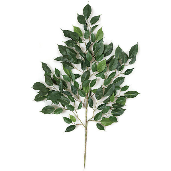 24 inch Artificial Nitida Ficus Branch (Set of 24) | P-502