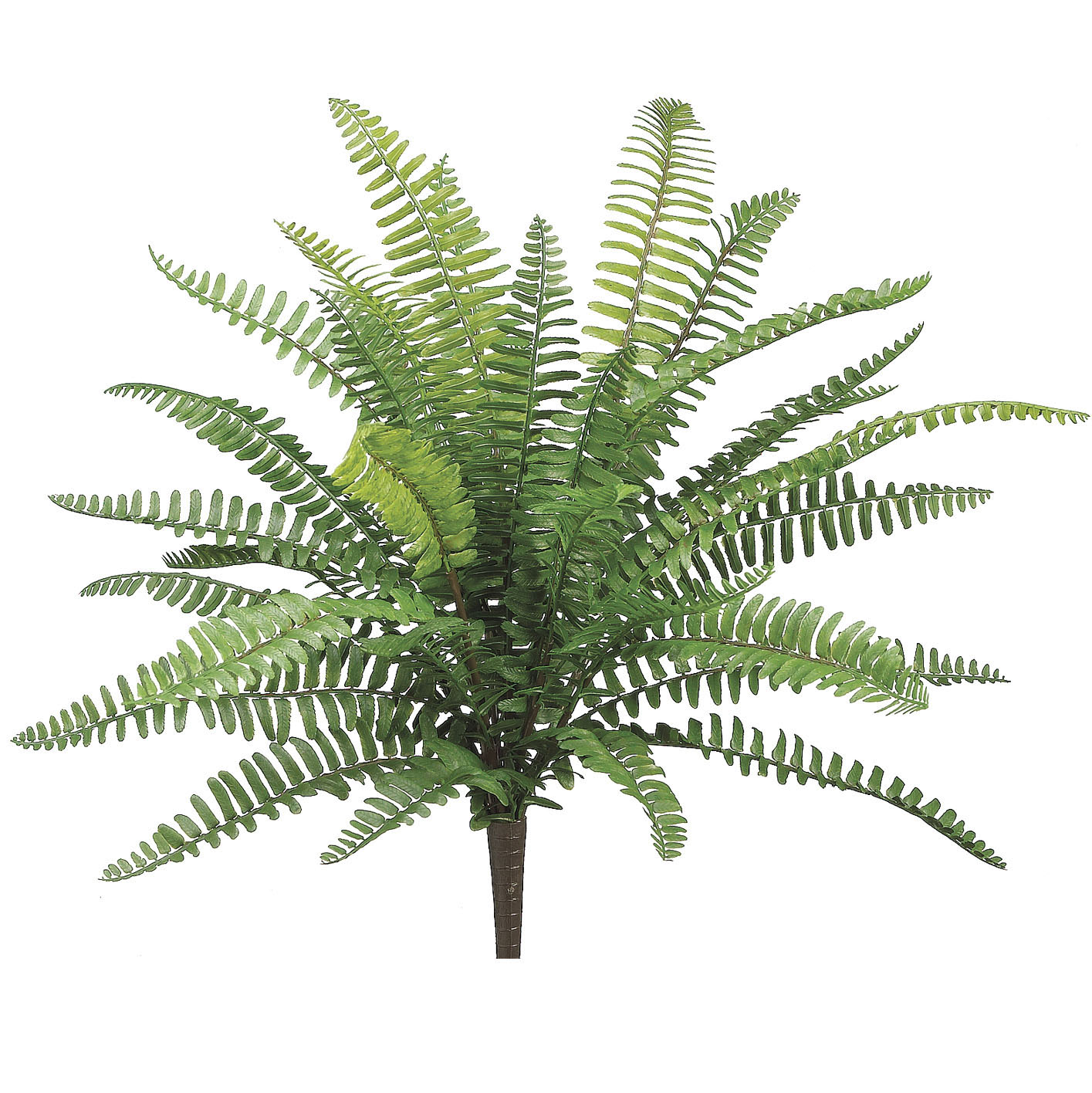 19 Inch Artificial Outdoor Boston Fern: Limited Uv 