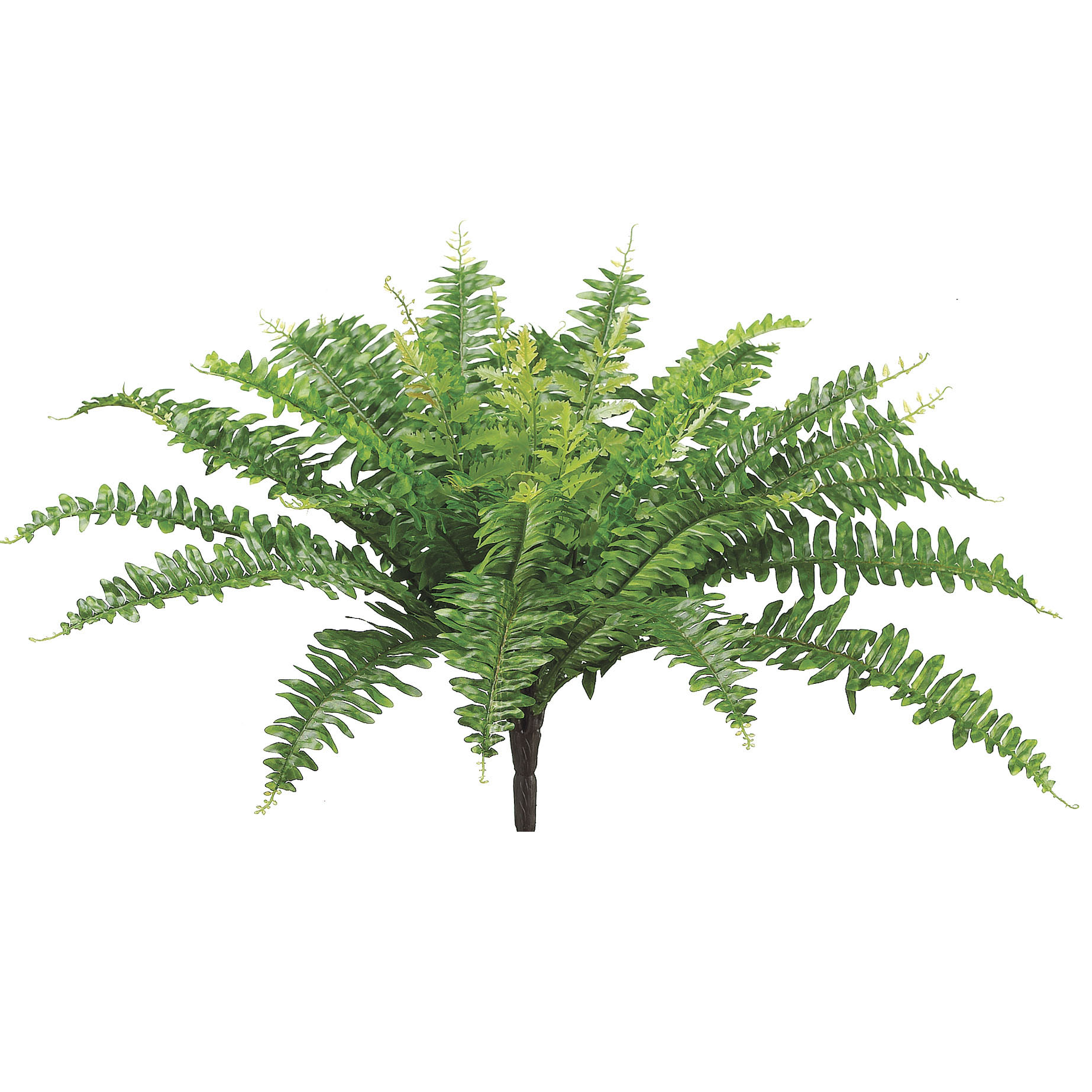 18 inch Artificial Outdoor Boston Fern: Limited UV | PBU350-GR