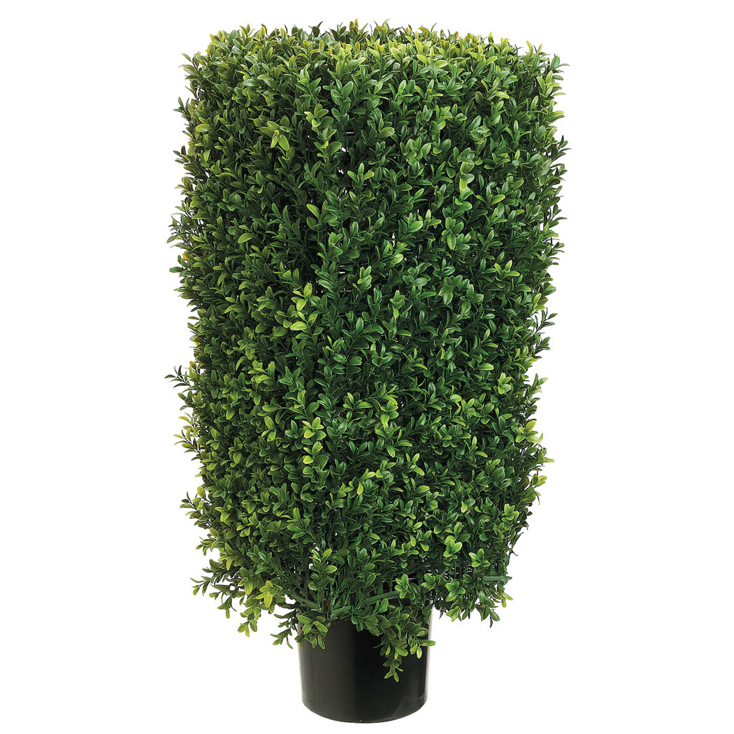 30 Inch Rectangular Boxwood Topiary: Potted