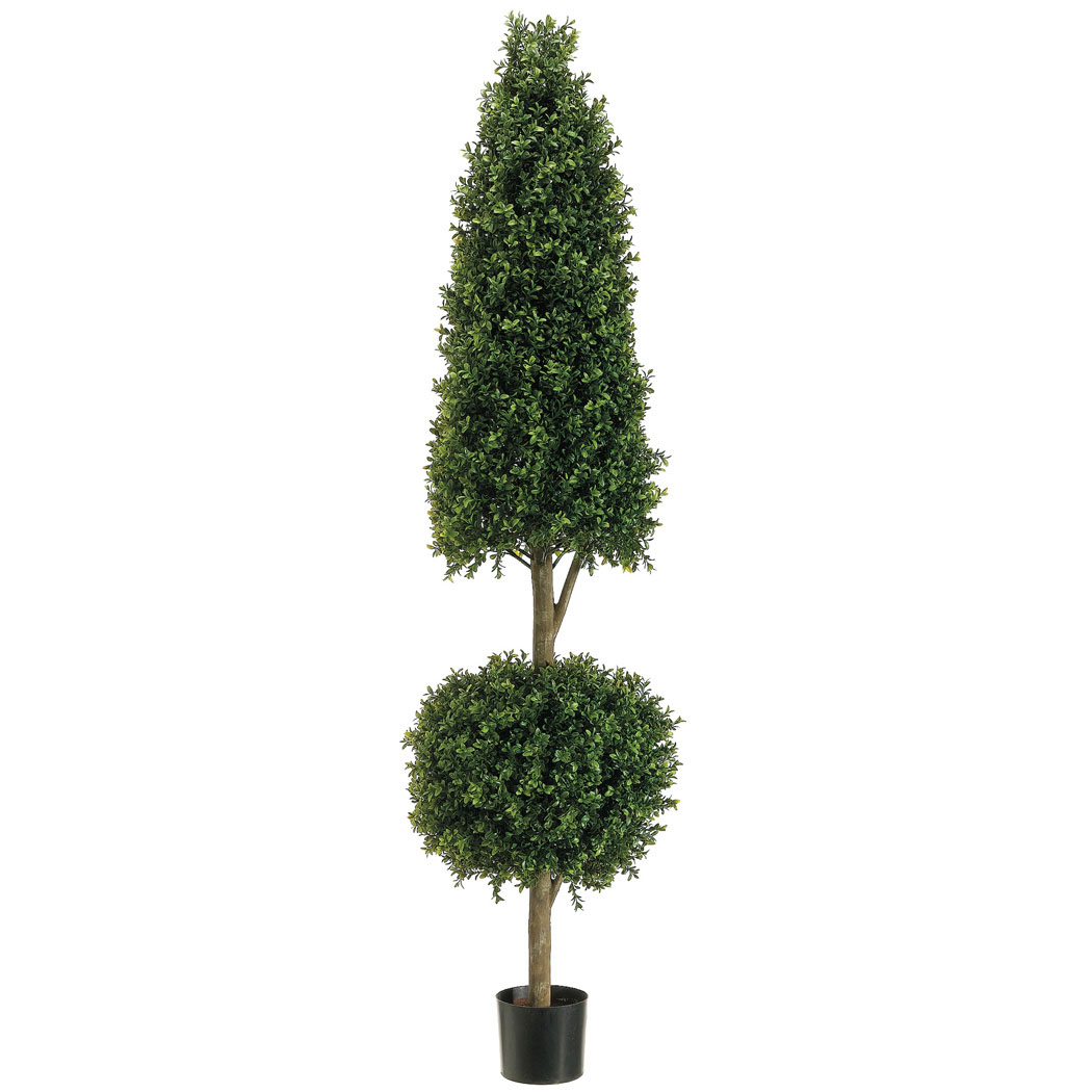 6 Foot Cone And Ball Boxwood Topiary: Limited Uv