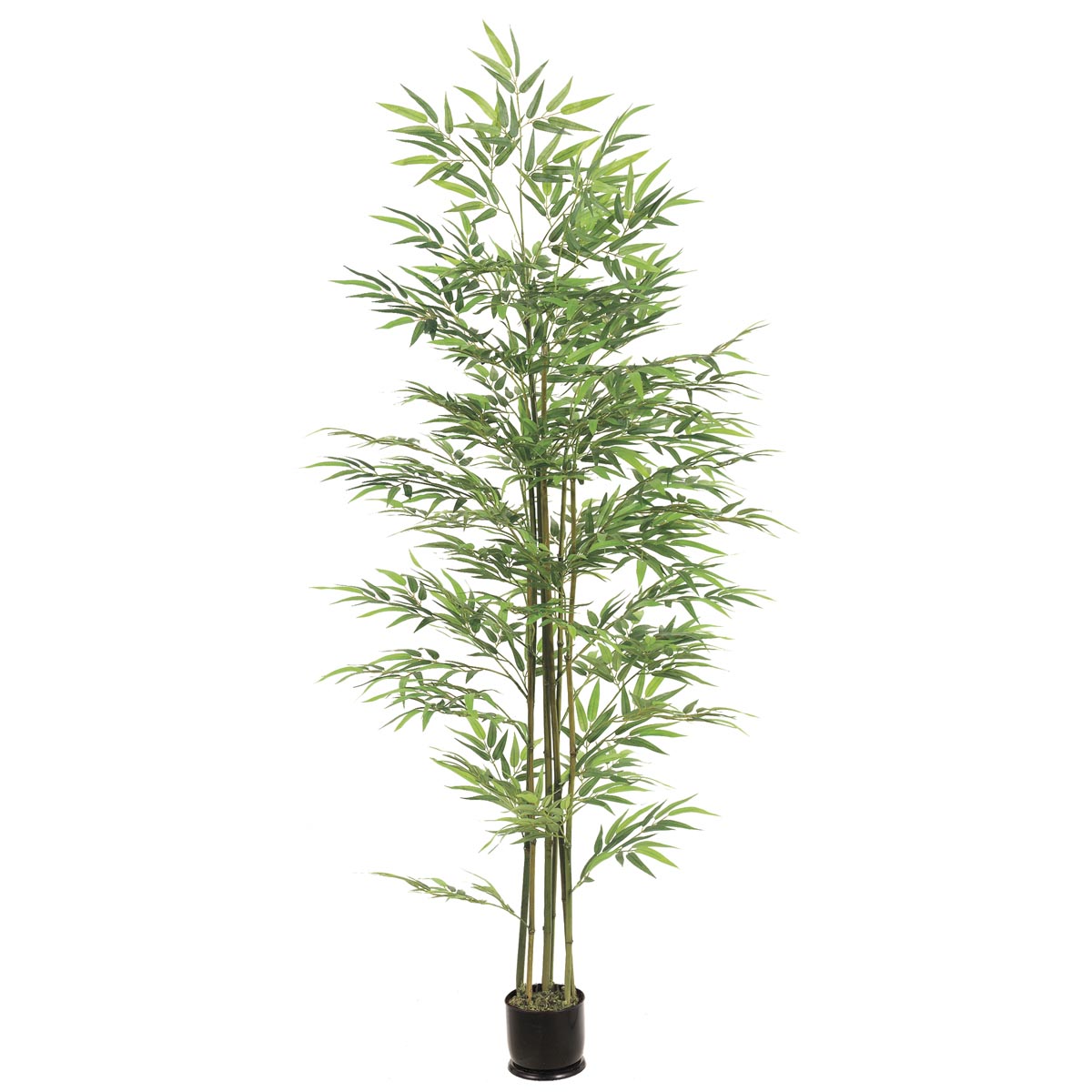 5 foot Bamboo Tree: Potted (Set of 2) | LPB425-