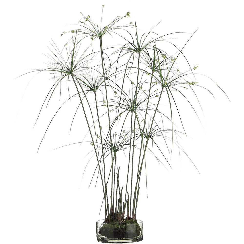 38 Inch Artificial Papyrus Grass In Glass Vase