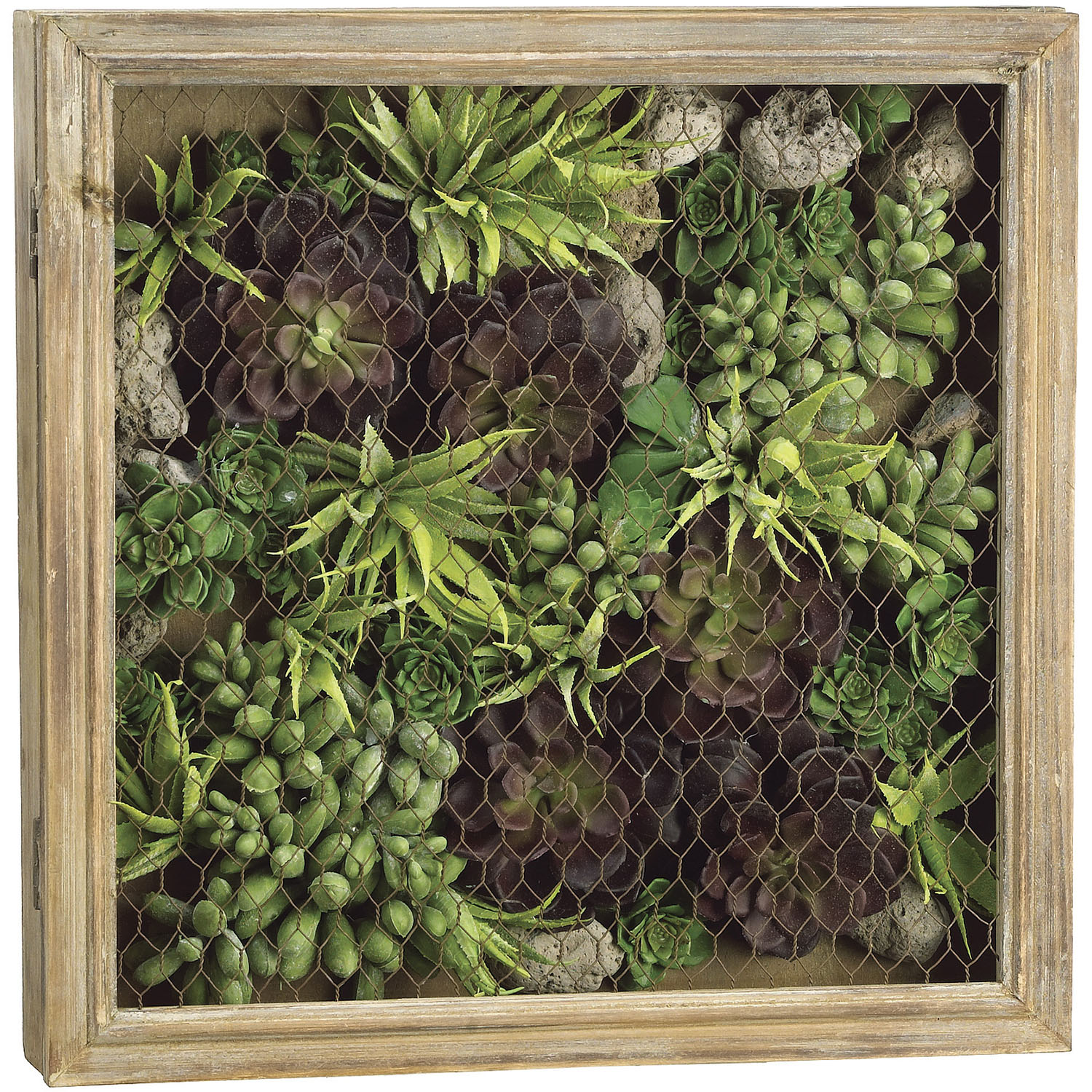 16 Inch Echeveria, Aloe, Sedum Arrangement In Square Wood Mesh Box