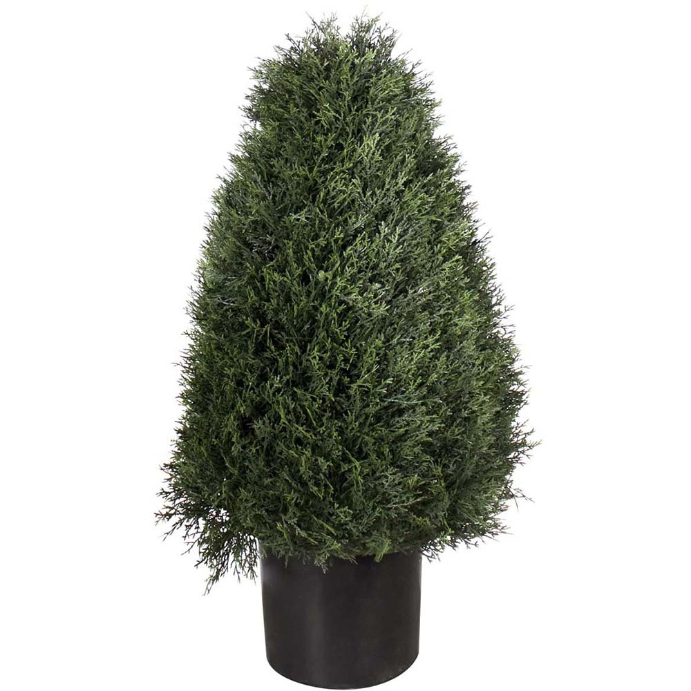 Amazing Green | 30 inch UV Protected Pond Cypress Cone Topiary: Potted ...