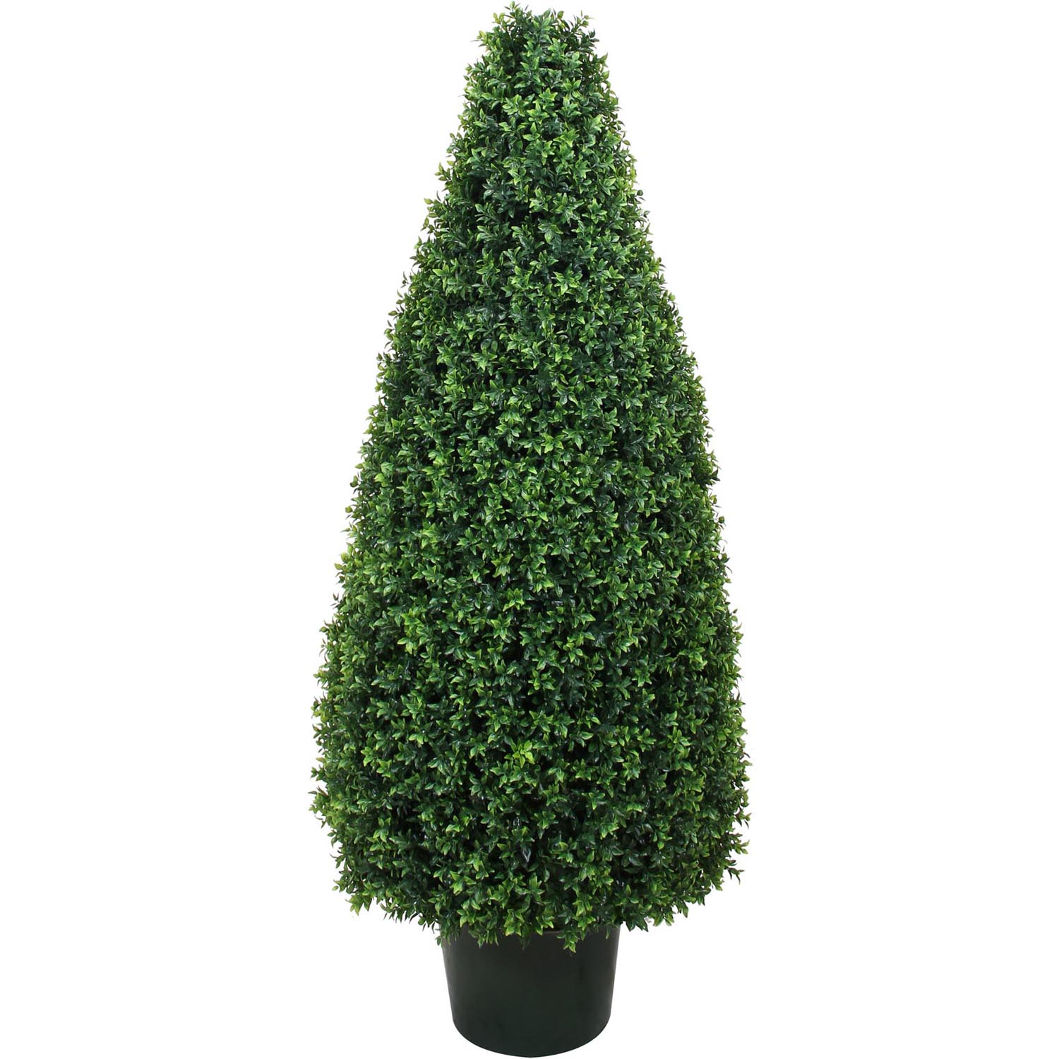 42 Inch Uv Protected Basil Cone Topiary: Potted