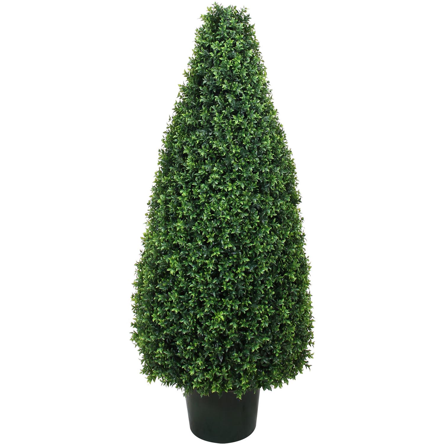 54 Inch Uv Protected Basil Cone Topiary: Potted