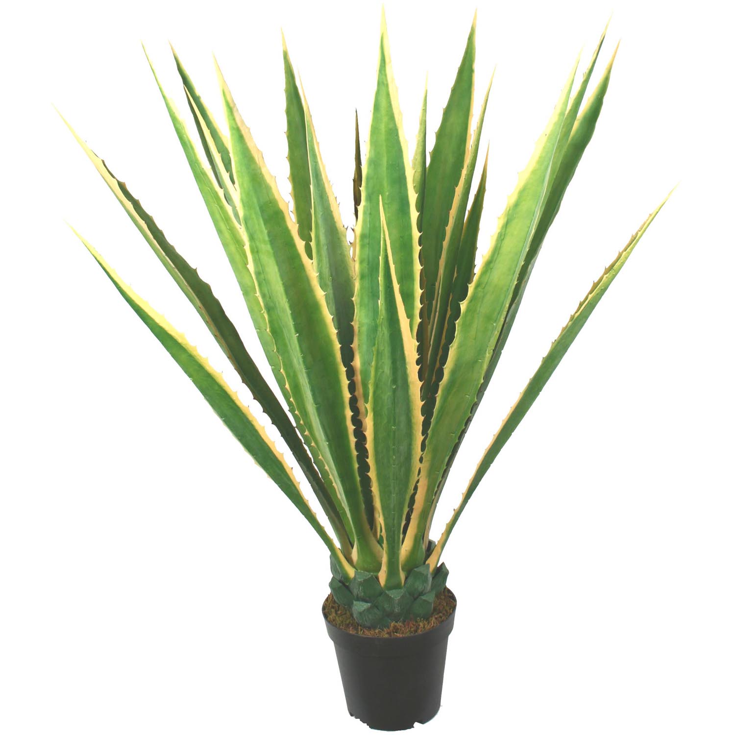 48 Inch Outdoor Potted Giant Yellow/green Agave Plant: Limited Uv (set Of 2)