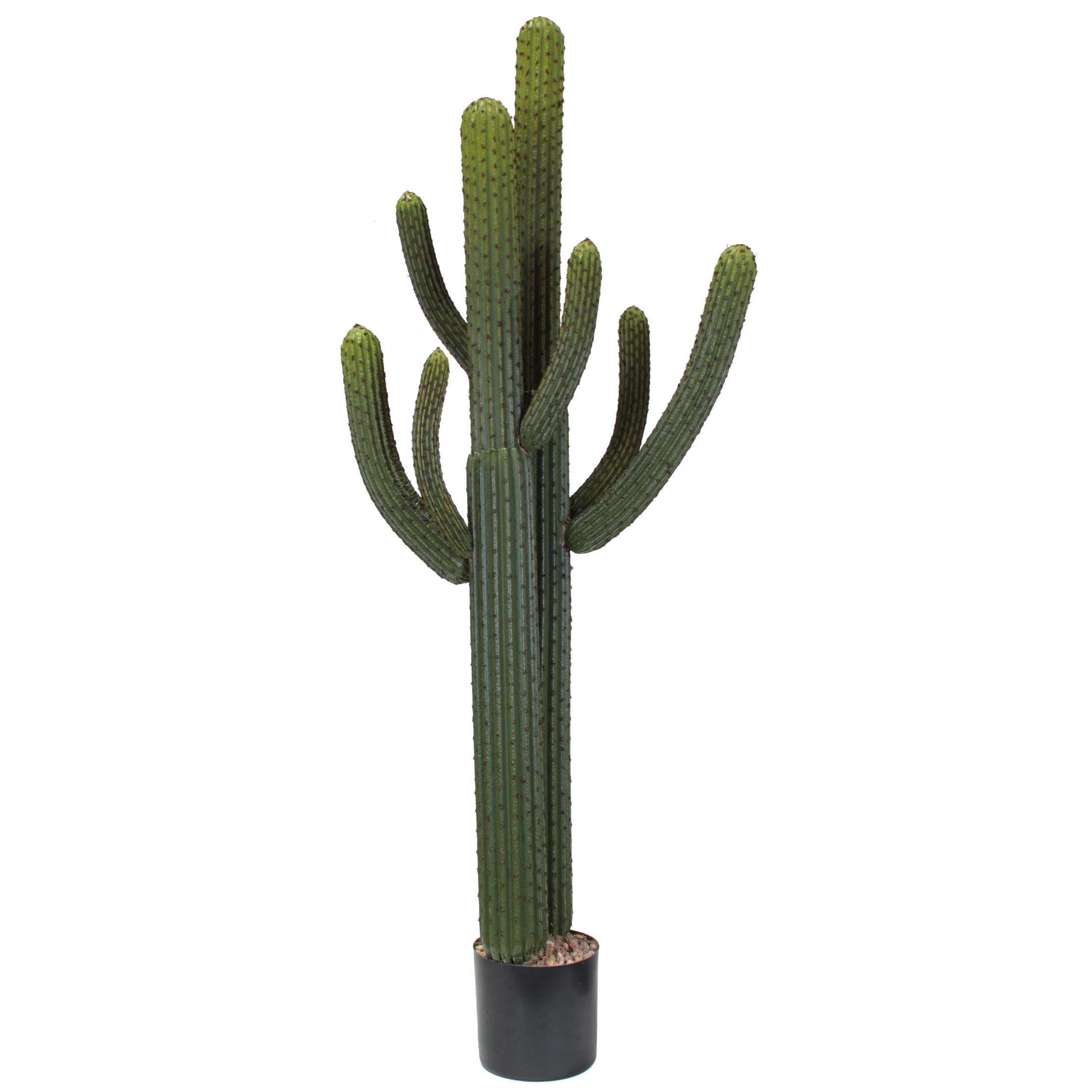 5.5 Foot Artificial Whisker Cactus: Potted (set Of 2)