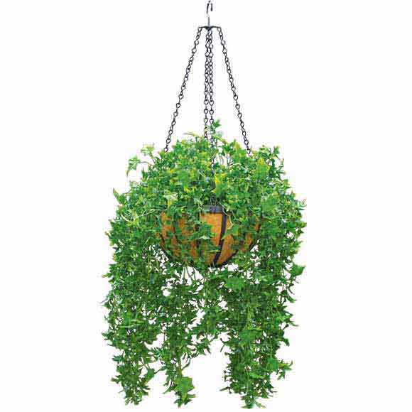 Artificial Outdoor English Ivy In Decorative Hanging Basket With Chain