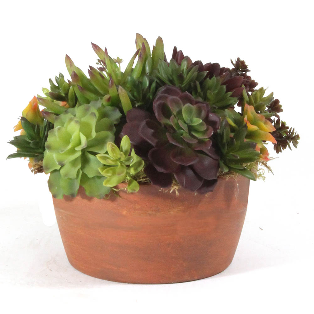 13 Inch Artificial Succulents In Aged Clay Pot