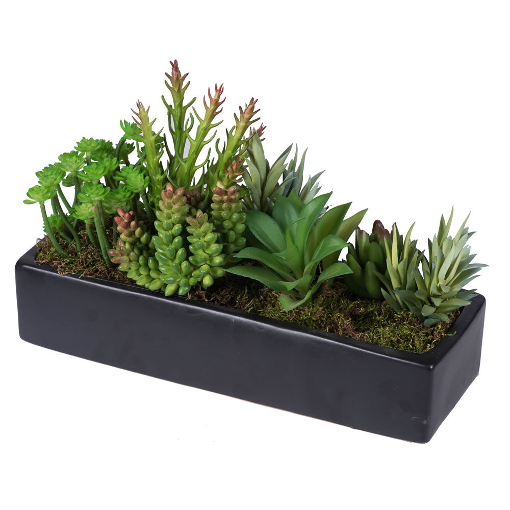 Succulent Arrangement in 12 inch Black Planter | F12206