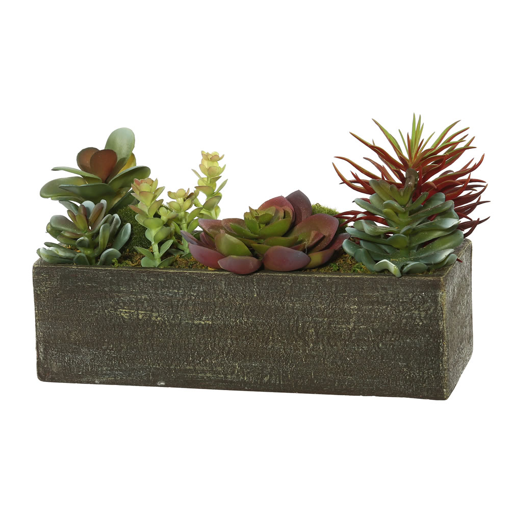 5.25 inch Succulent Arrangement in Rectangle Planter | FE173001