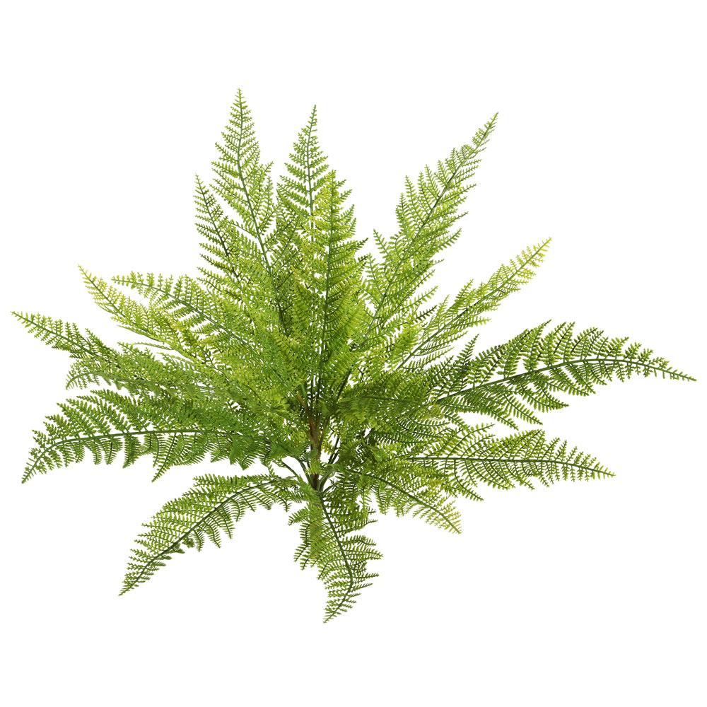 20 Inch Lace Fern Bush Spray 