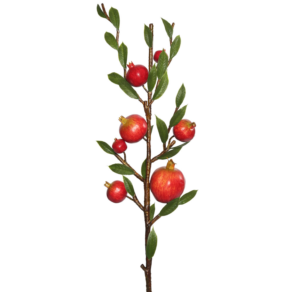 Download 25 inch Red Pomegranate Branch | FK171802