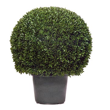 20 Inch Mini Leaf Ball Topiary: Potted | Avamia