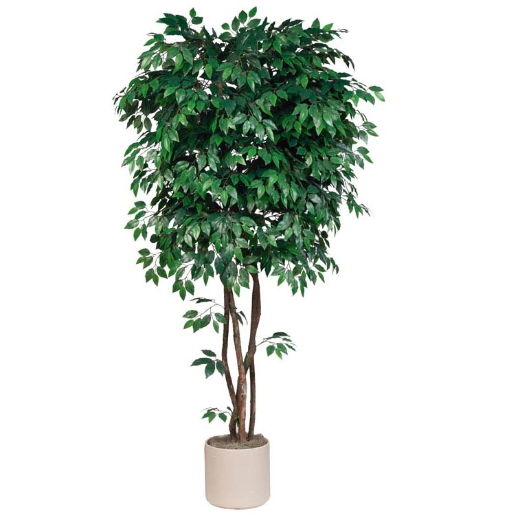 7.5 Foot Artificial Deluxe Ficus Tree With Natural Trunks: Potted - Overstock
