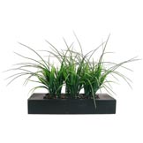 Vintage Home Artificial Grass in Contemporary Small Wood Planter