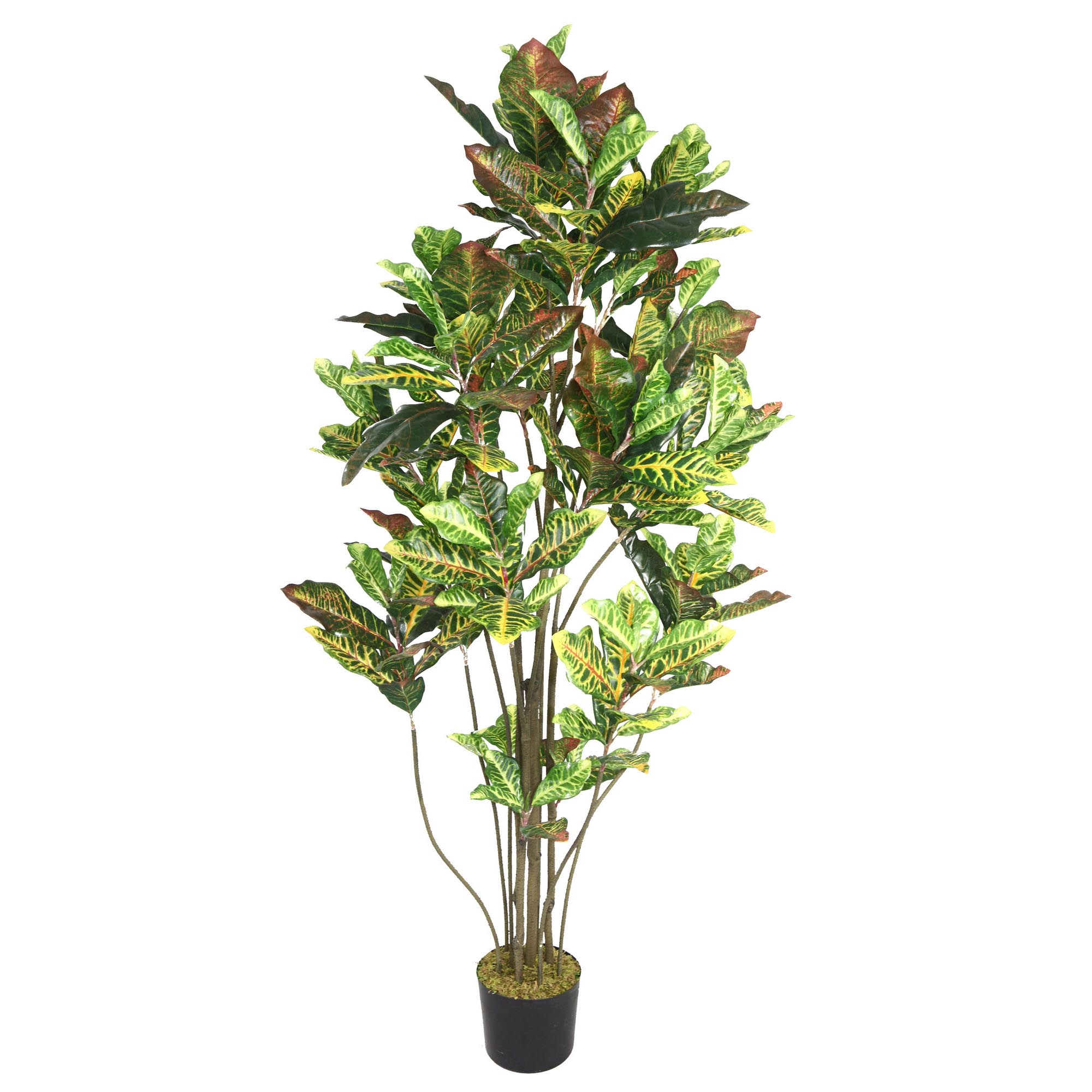 Vintage Home | Artificial Croton Tree | VHX110