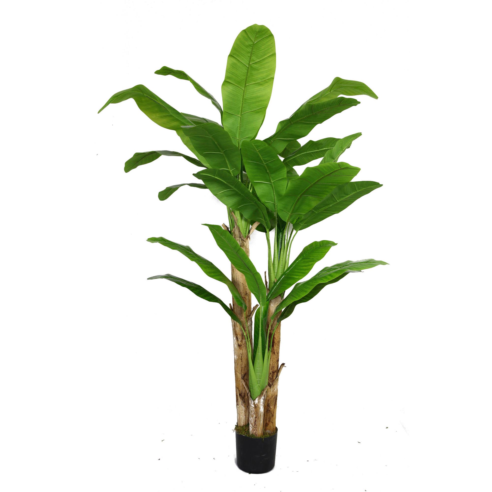 Artificial Banana Tree With Real Touch Leaves