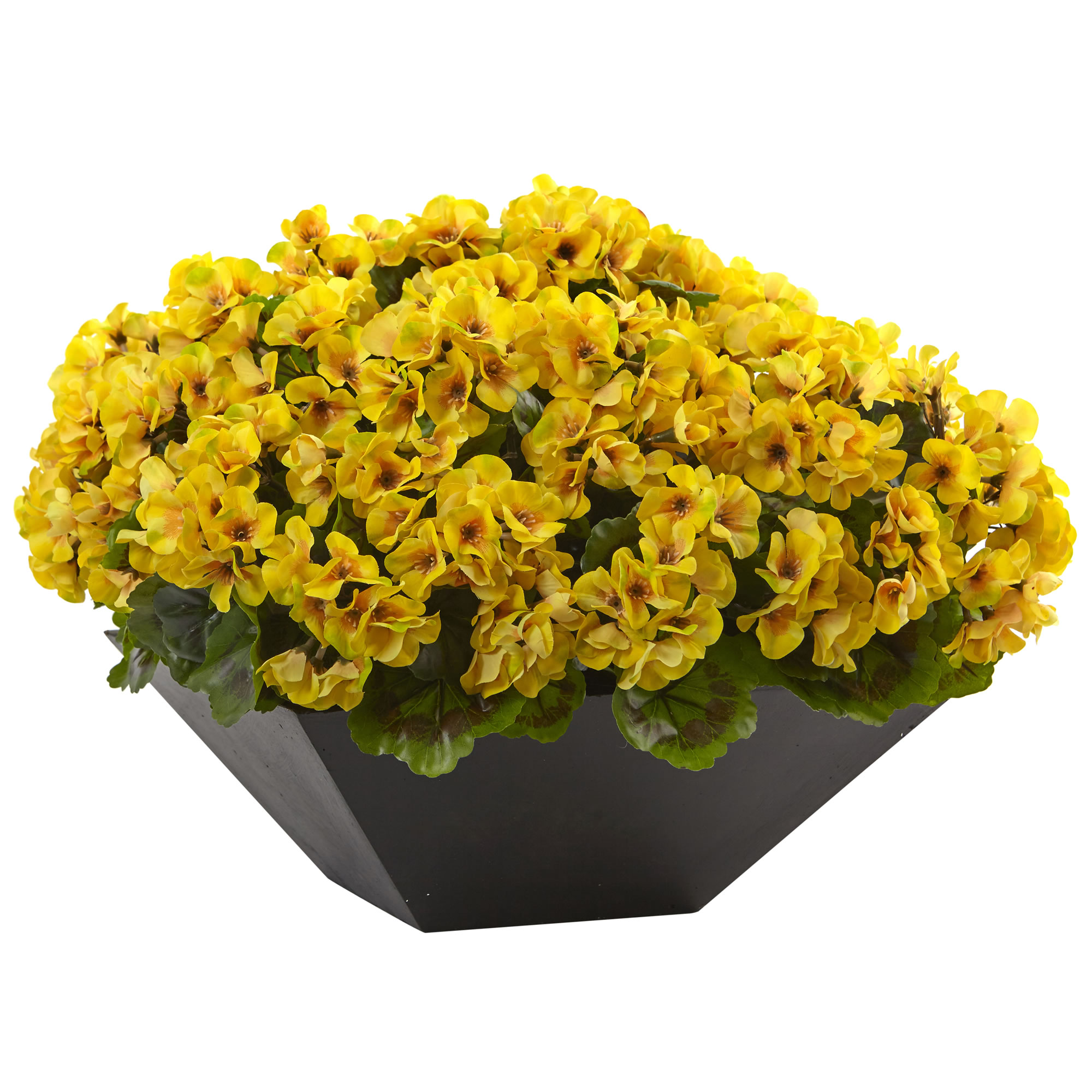 15 Inch Yellow Geranium In Black Planter: Limited Uv Protection