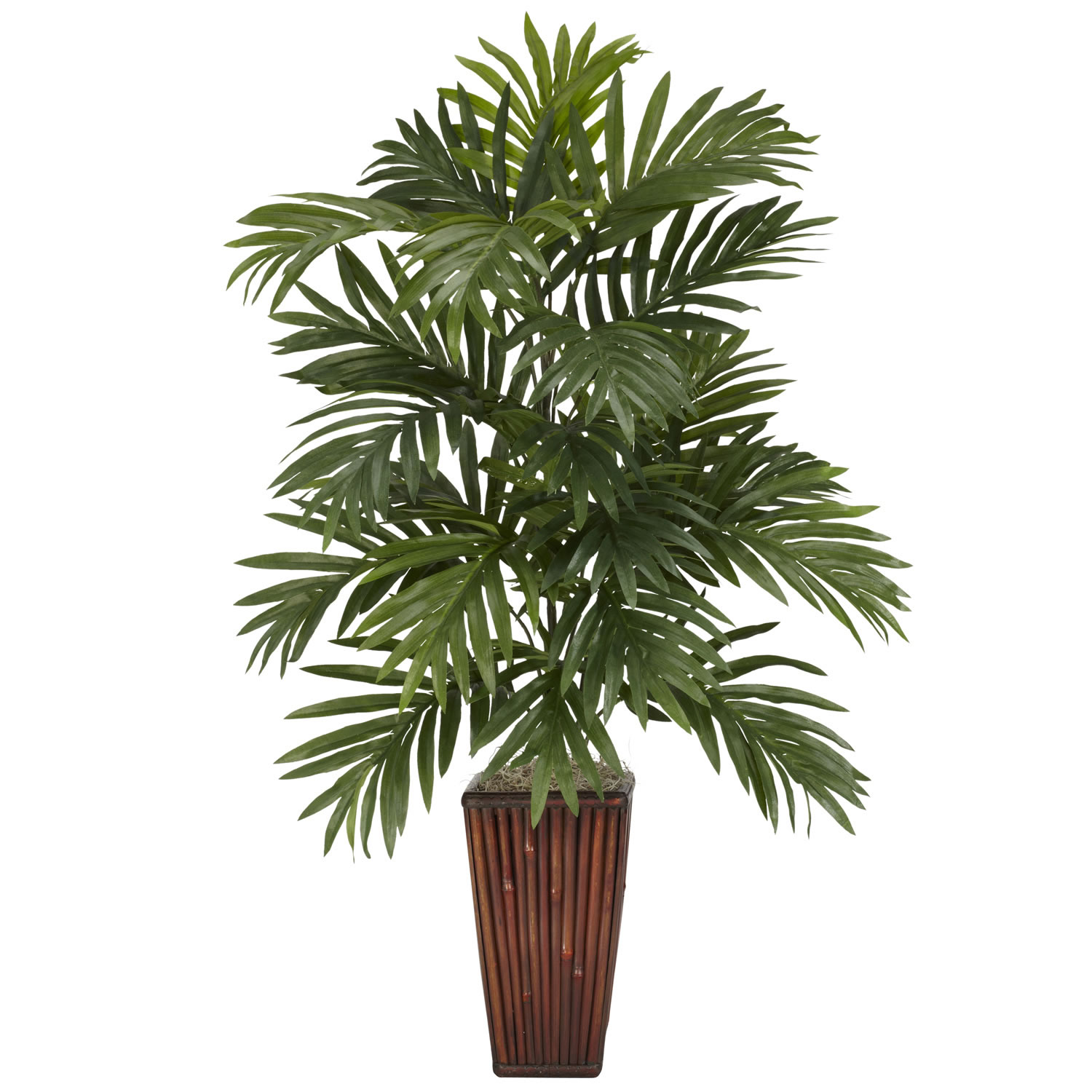 32 inch Areca Palm in Bamboo Vase | 6675