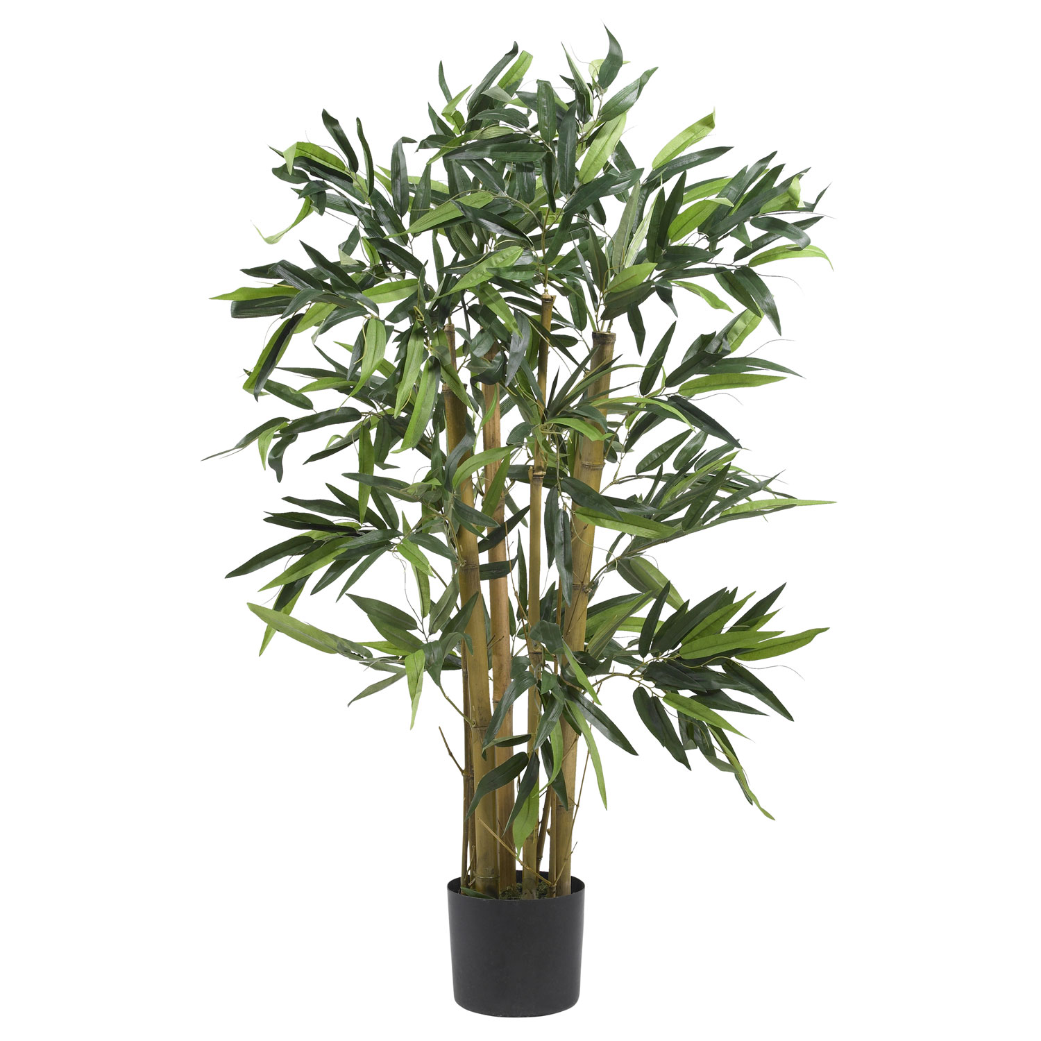 3 foot Biggy Bamboo Tree: Potted | 5281