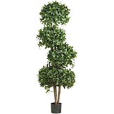 69 inch Sweet Bay 4 Ball Topiary: Potted