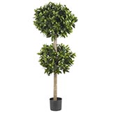 57 inch Sweet Bay Double Ball Topiary Tree: Potted