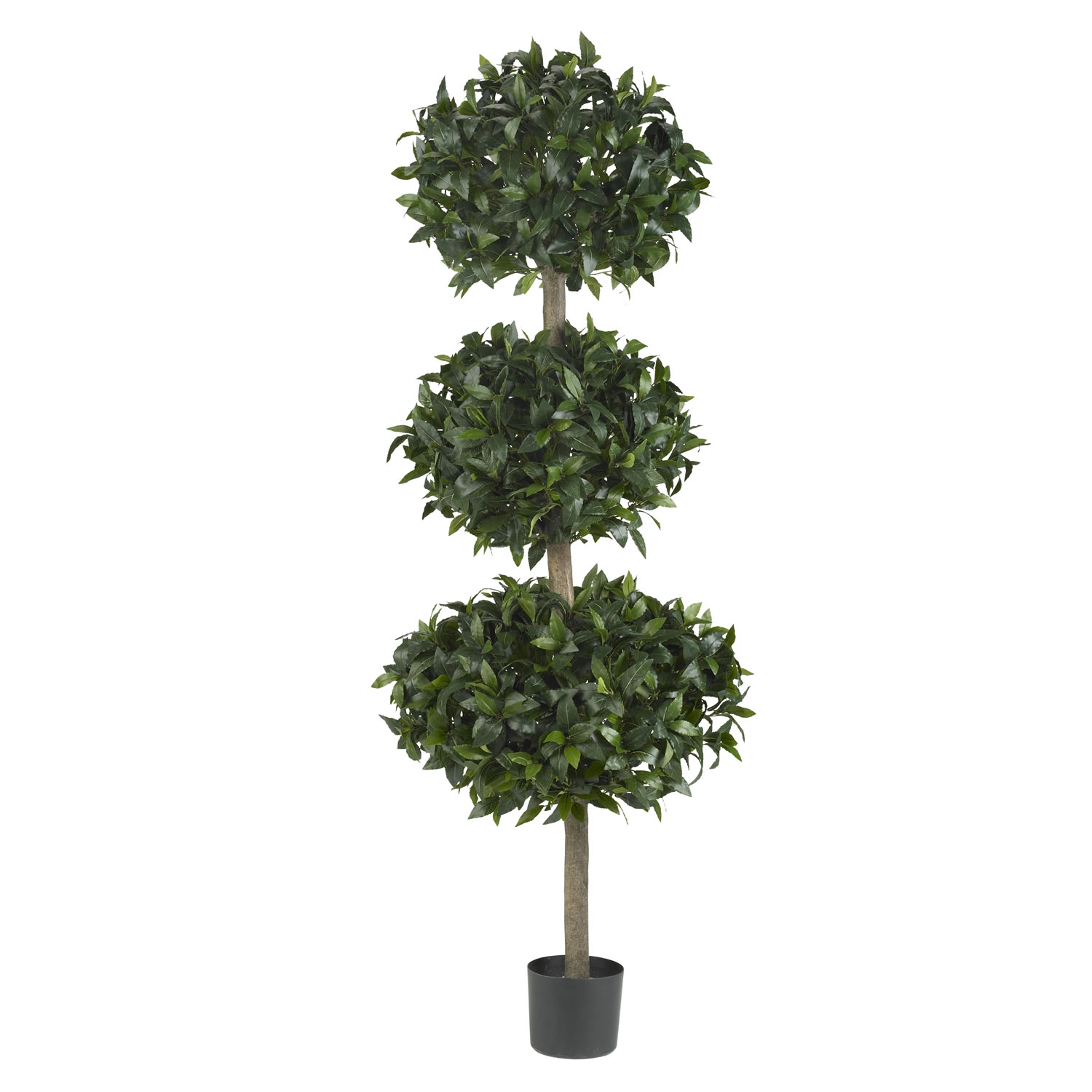 Triple Ball Topiary