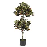 4.5 foot Croton Topiary Tree: Potted