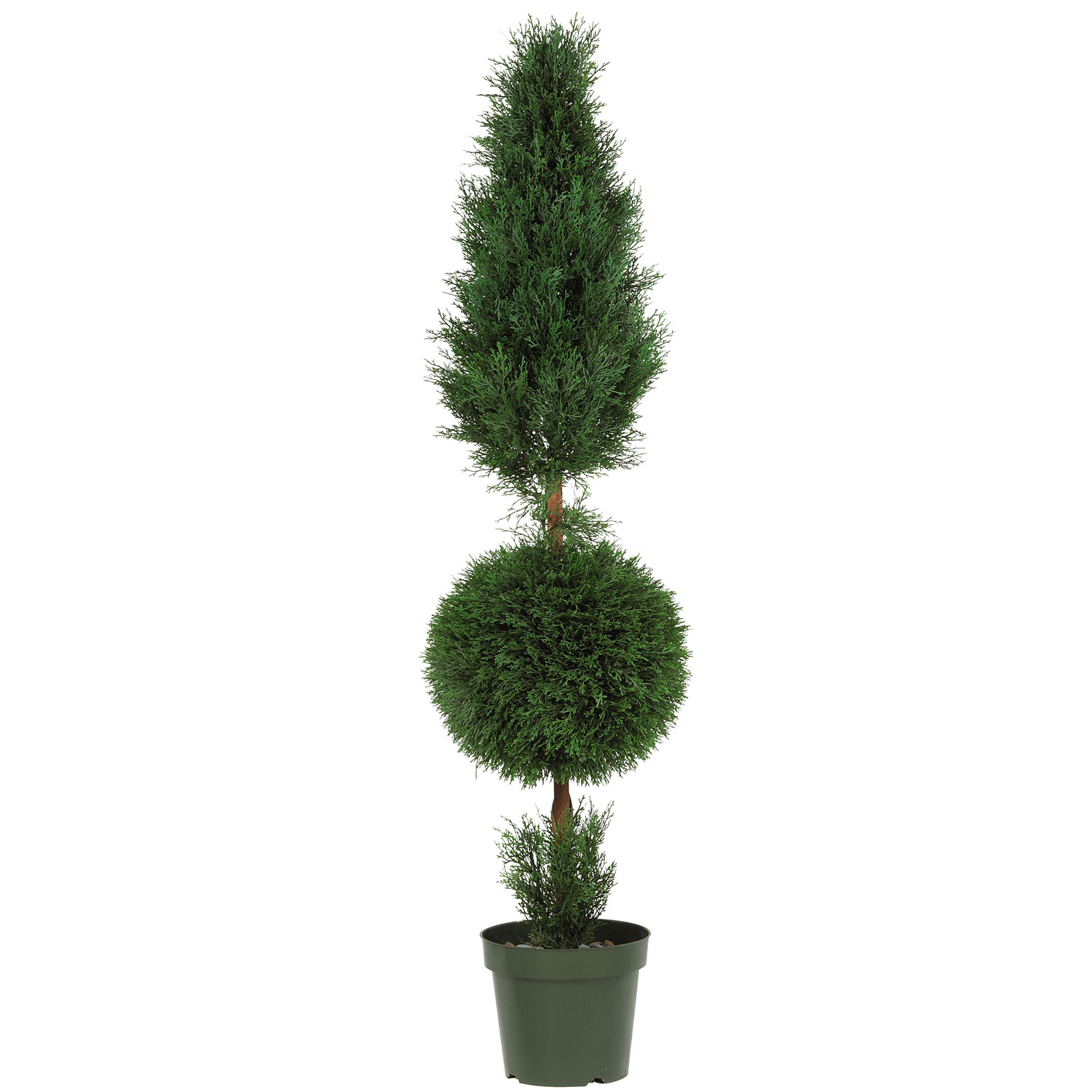 5 Foot Outdoor Cypress Ball And Cone Topiary: Potted