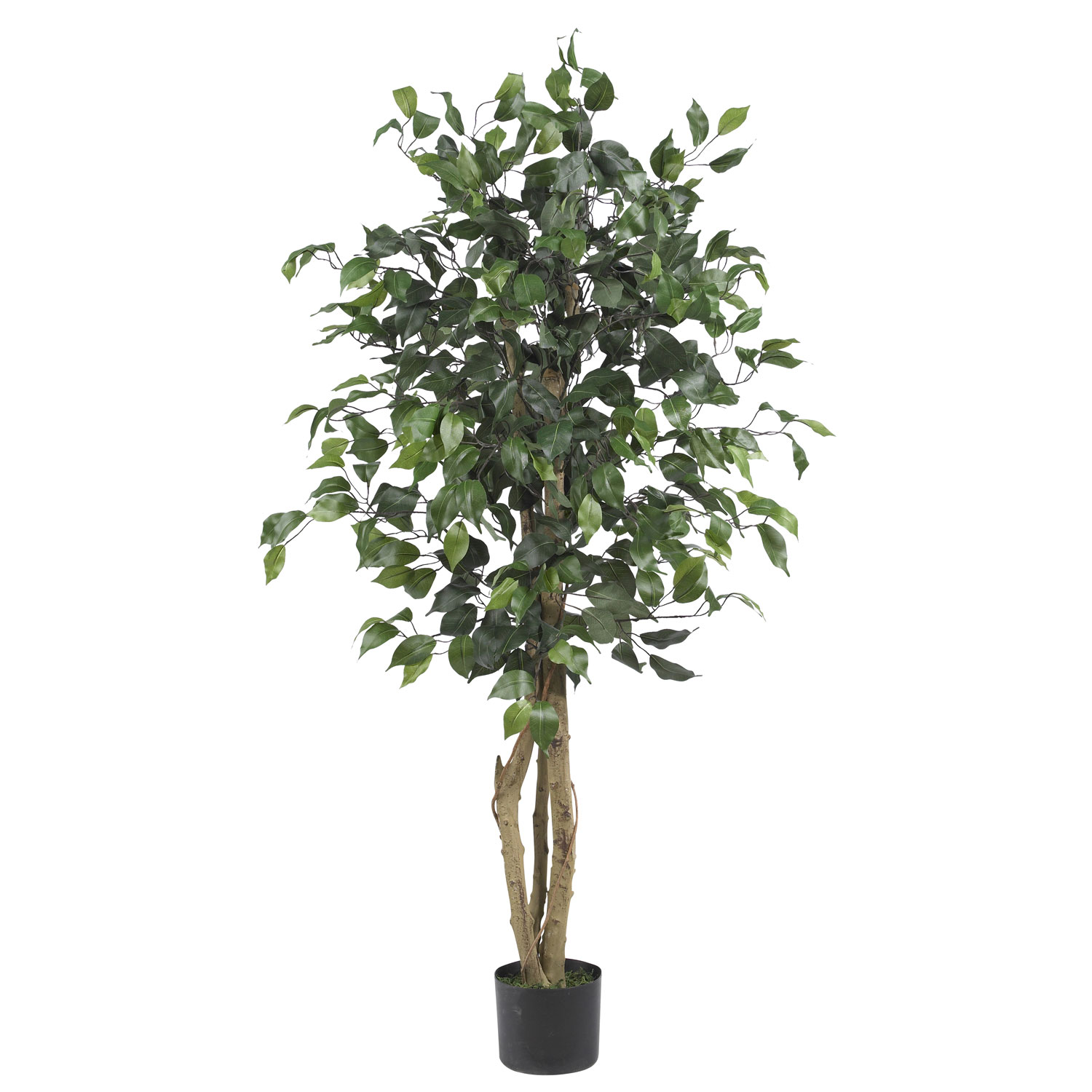 4 foot Silk Ficus Tree: Potted | 5299