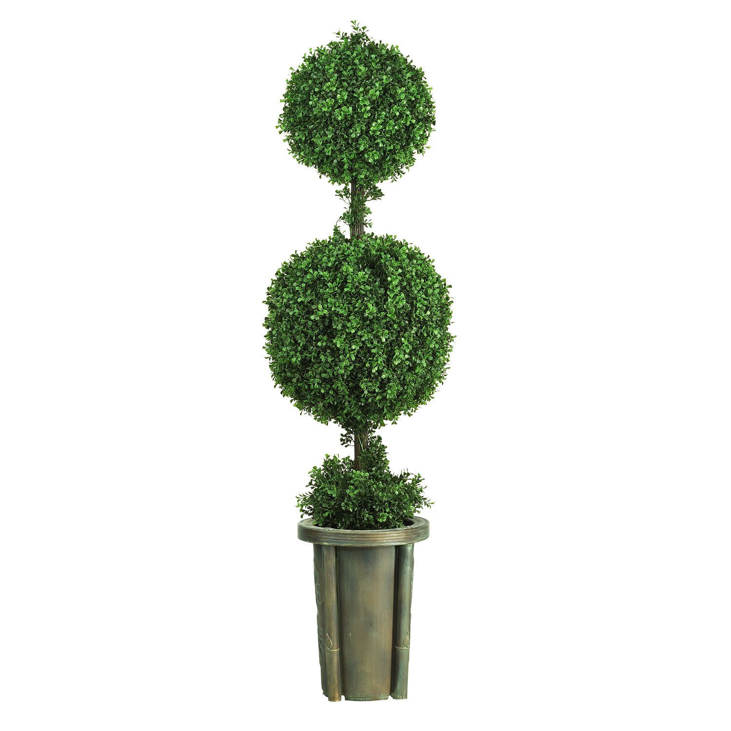 5 Foot Double Ball Leucodendron Topiary In Decorative Vase