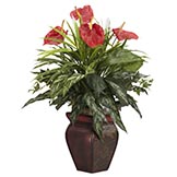 26 inch Mixed Greens and Anthurium in Decorative Vase
