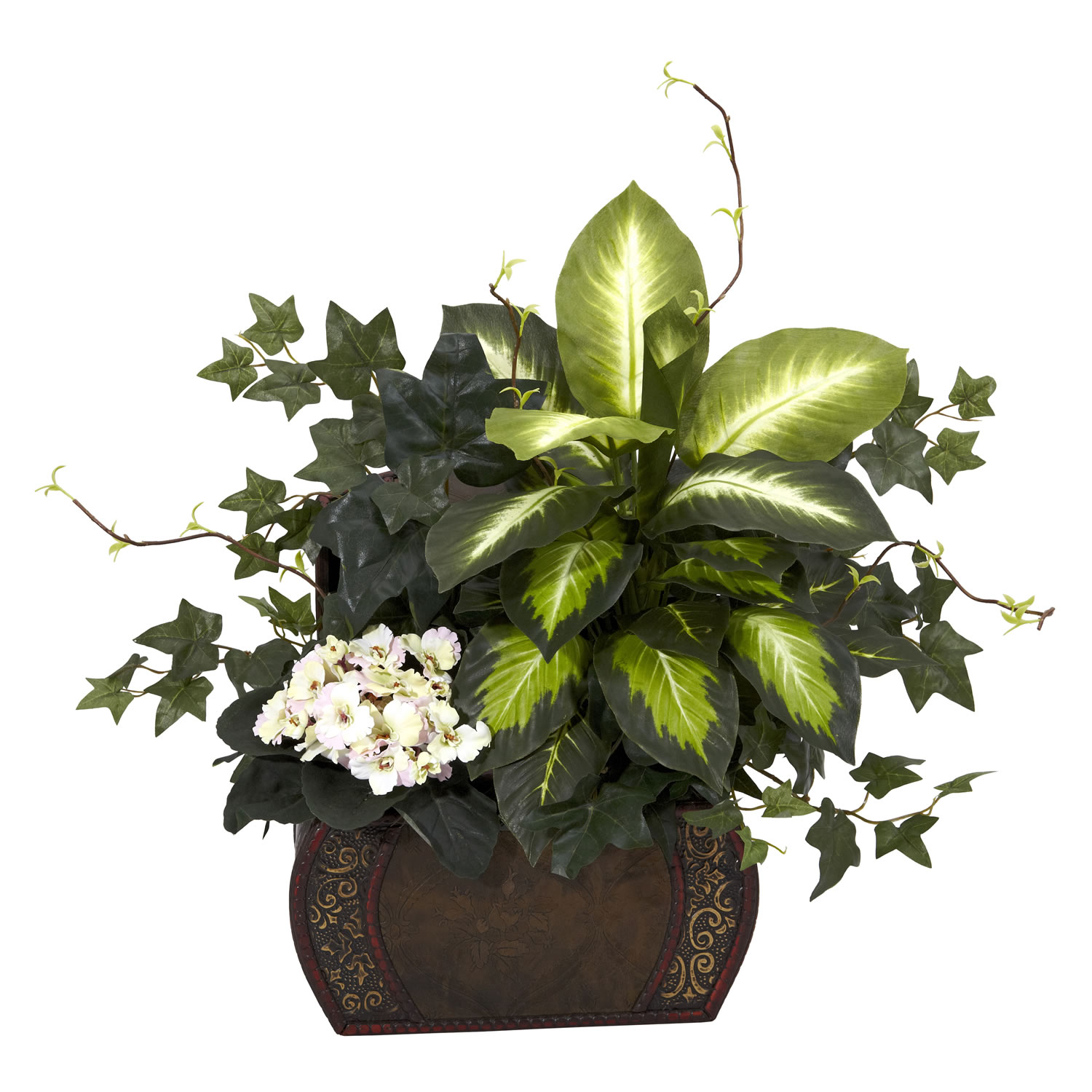 20 Inch African Violet, Dieffenbachia And Ivy In Chest