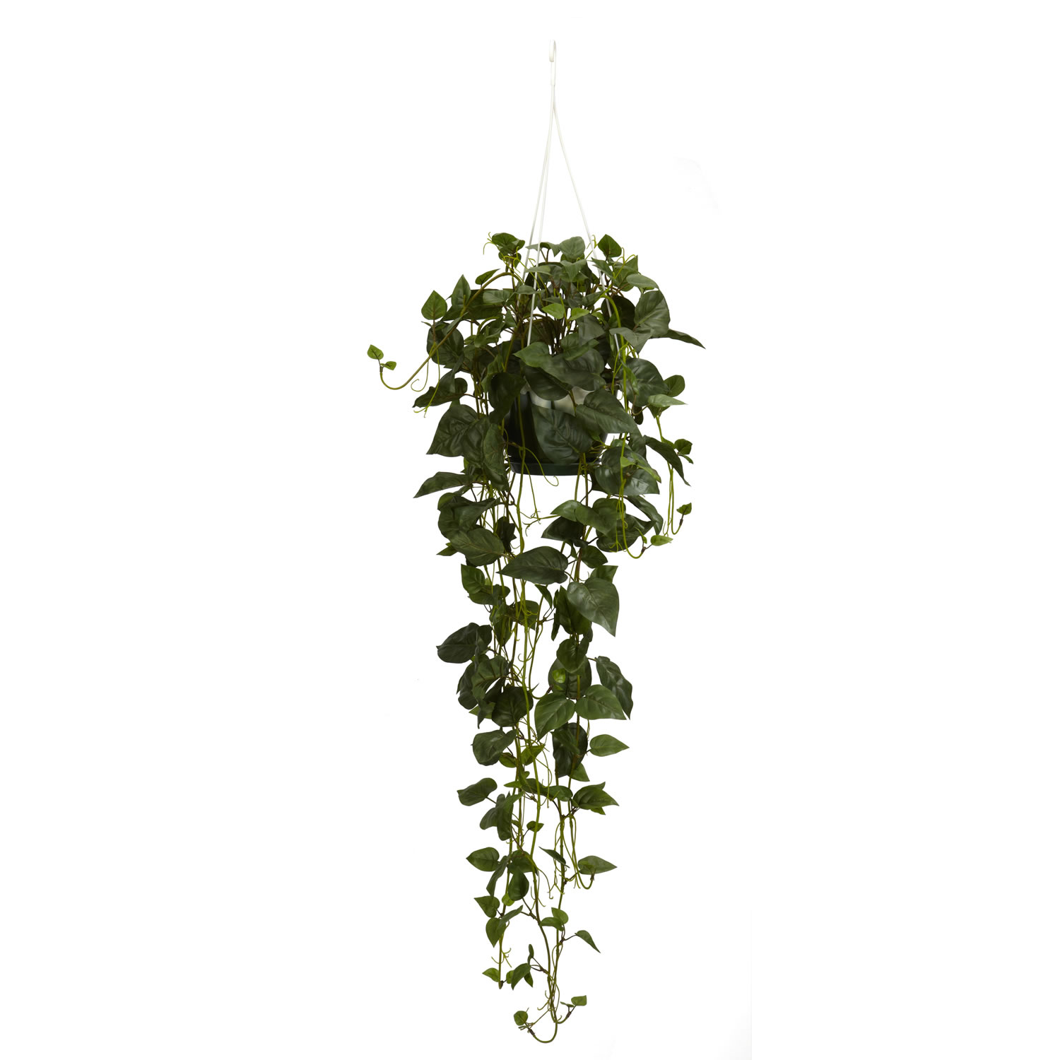 44 Inch Philodendron Hanging Basket