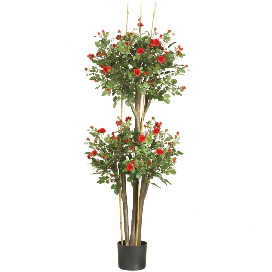 5 Foot Mini Rose Tree Potted 5238