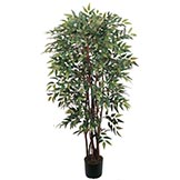 4 foot Smilax Tree: Potted