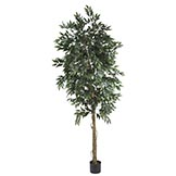 6 foot Smilax Tree: Potted