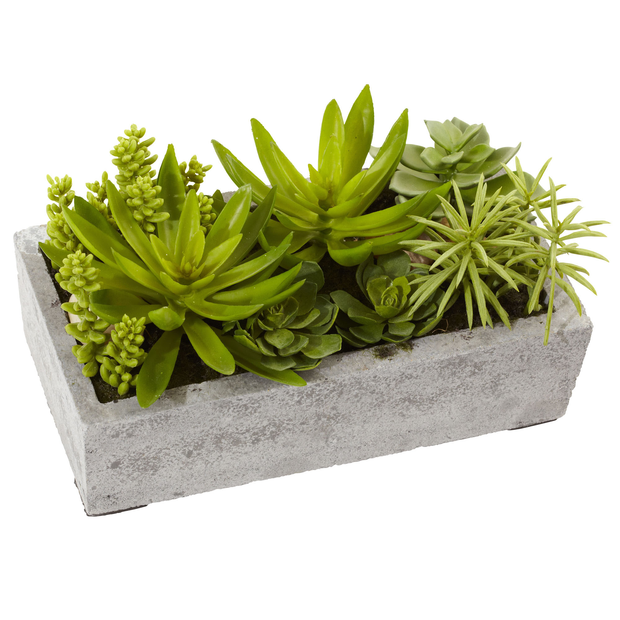 6.5 Inch Indoor Silk Succulent Garden Arrangement In Concrete Planter