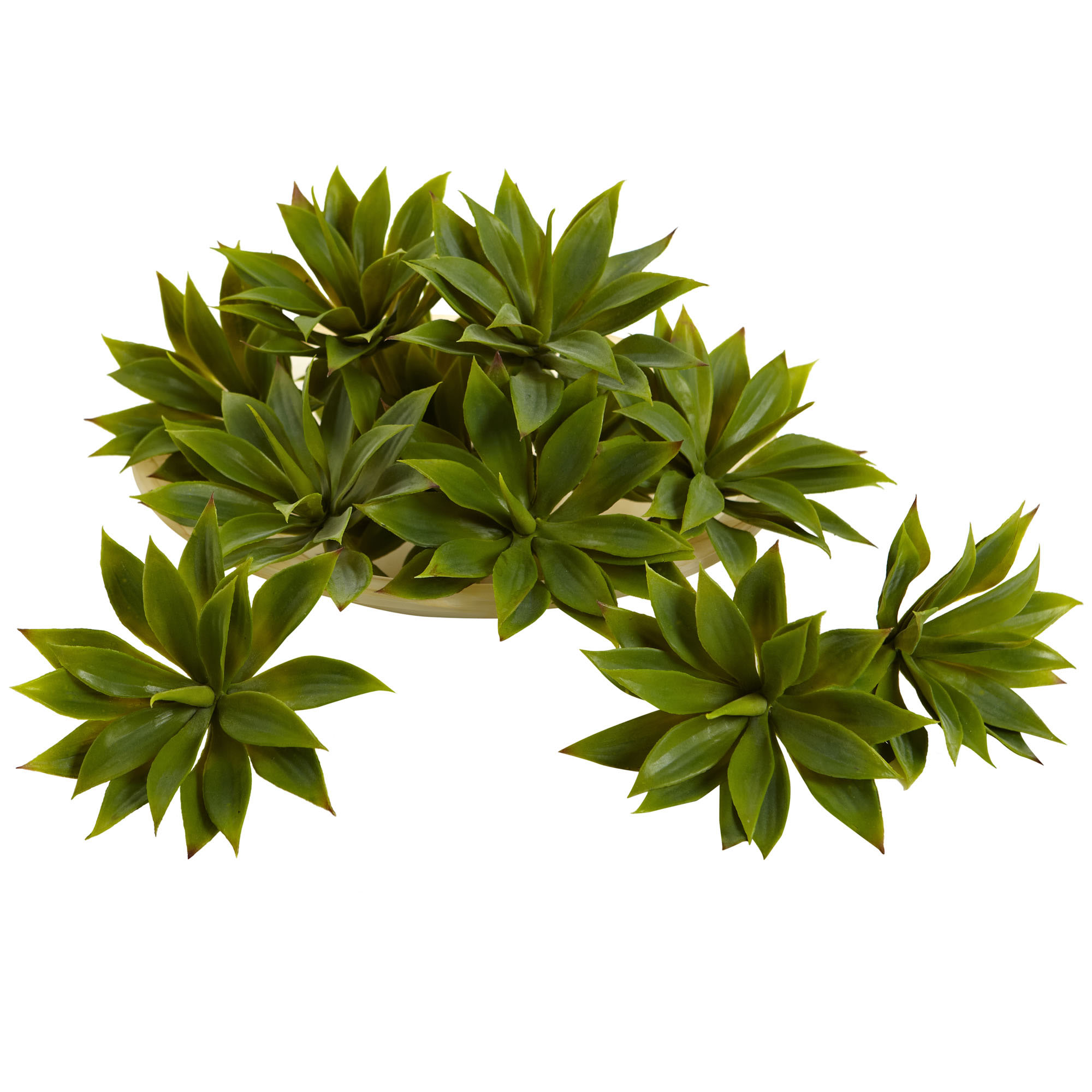 1 Dozen 5 Inch Indoor Silk Mini Agave Succulent Plants