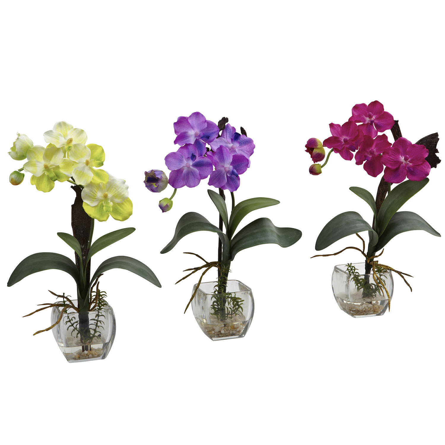 15 Inch Mini Vanda Orchid Arrangement In Decorative Glass Vase (set Of 3)