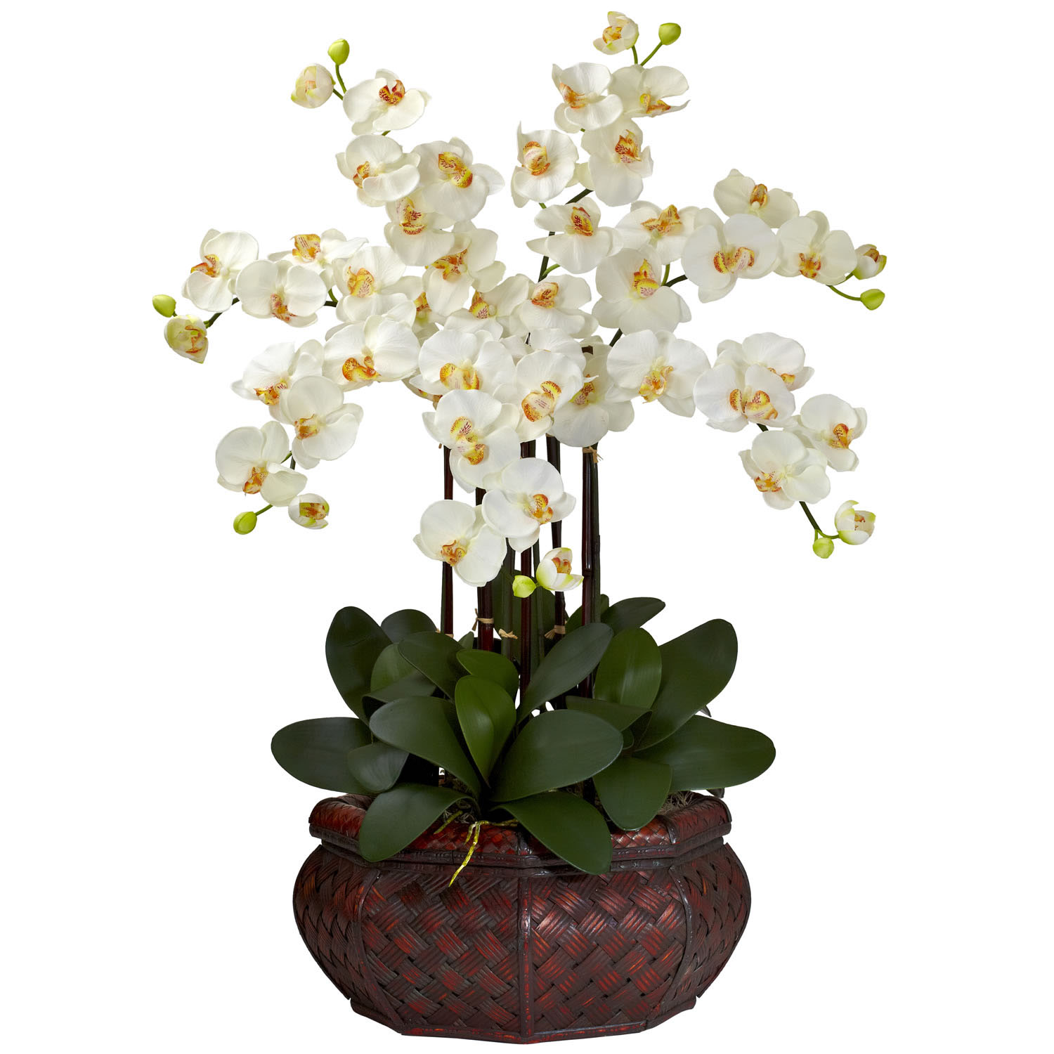 orchid silk flower arrangement arrangements orchids artificial phalaenopsis floral flowers faux fake plants planter pots cream