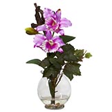 Mini Cattleya Orchid with Fluted Vase