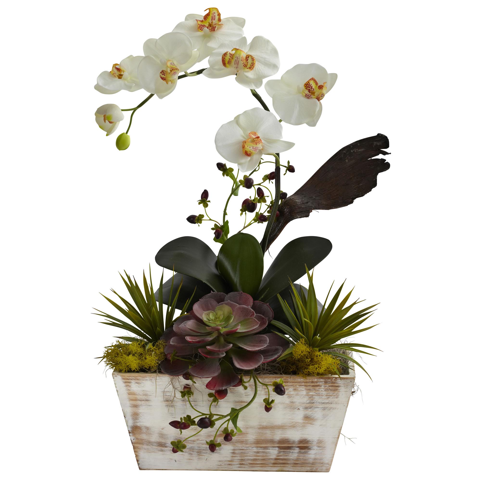 21 Inch Silk Orchid & Succulent Garden In White Wash Planter