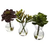 Artificial Succulent Arrangements in Glass Vase(Set of 3)