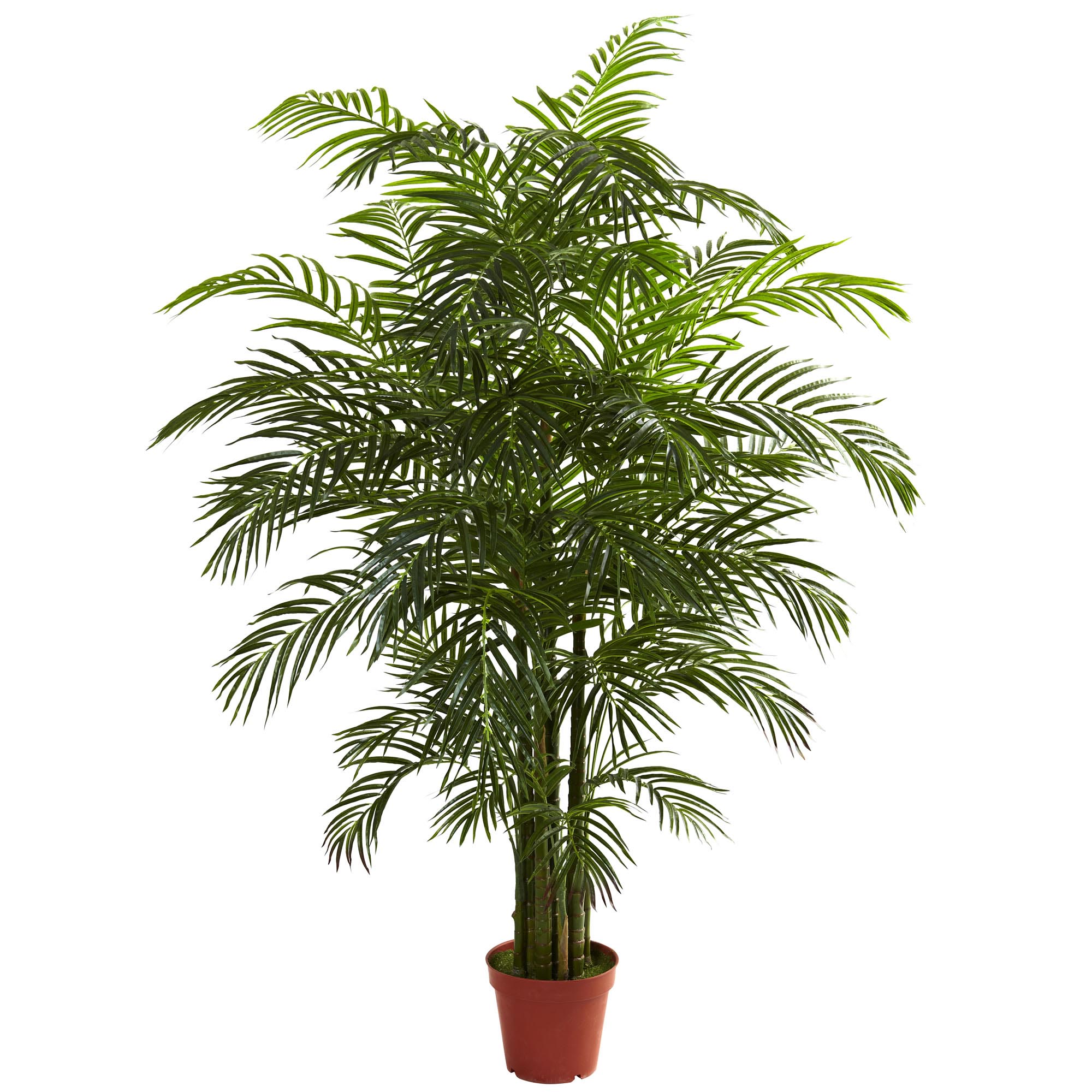 6.5 Foot Outdoor Artificial Areca Palm: Limited Uv
